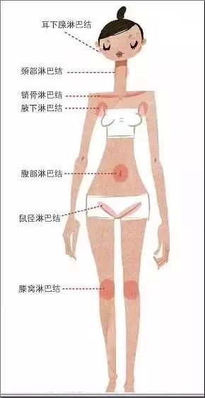 781bfc7ba9811e420e46dfa4d93d6073.jpg