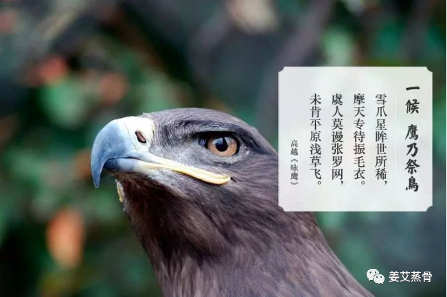 b8a80f79c38e497934b5ca85fa0bed9e.png