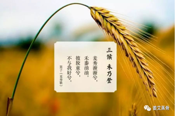 d0befb4296962eb1183d3dae6ff956ae.png