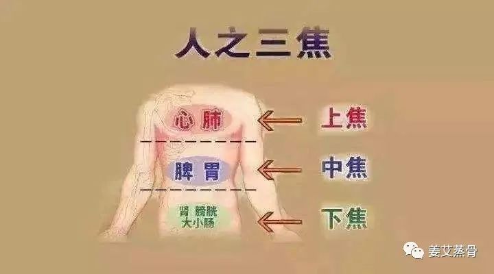 b717e262758834b61477dd69e82e85e7.jpg
