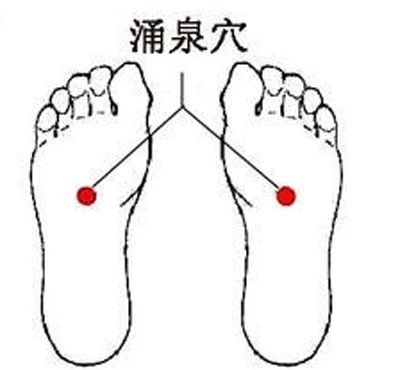 f65dfdd22d5a81f0939a1682ebed674b.jpg