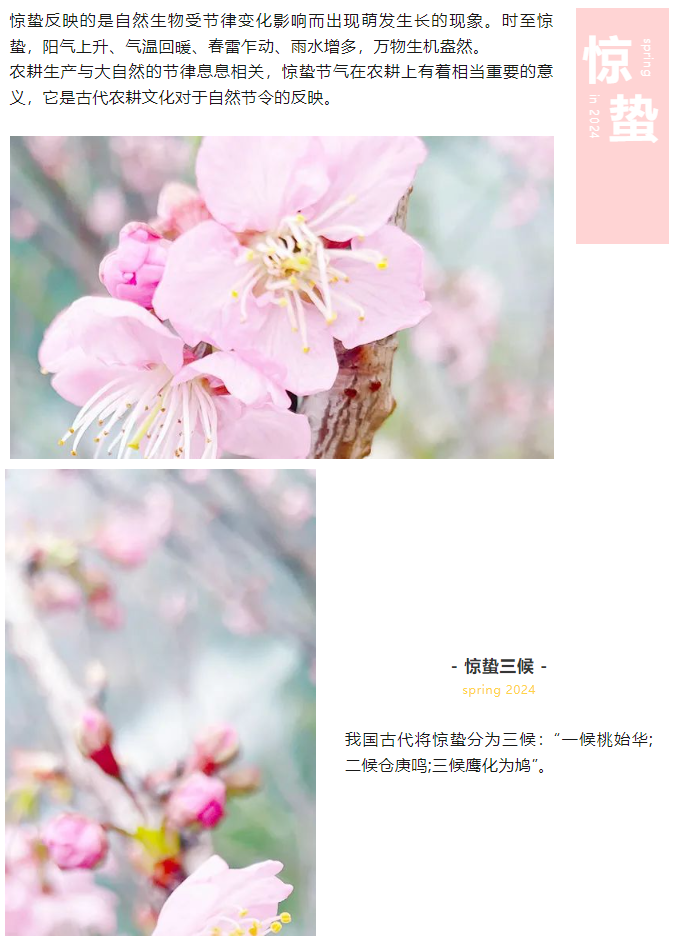 e8ab89316972cf62a757c8110f3ec3b.png