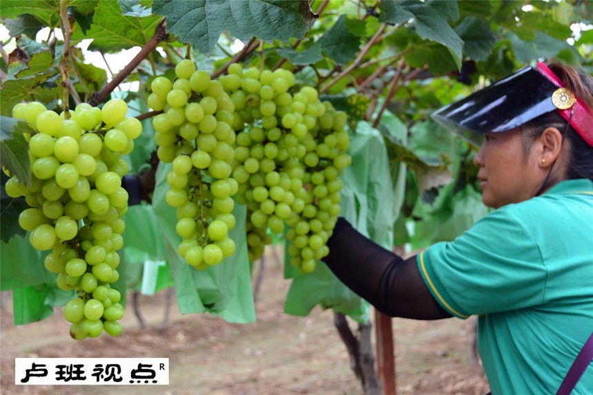 000_3843.JPG
