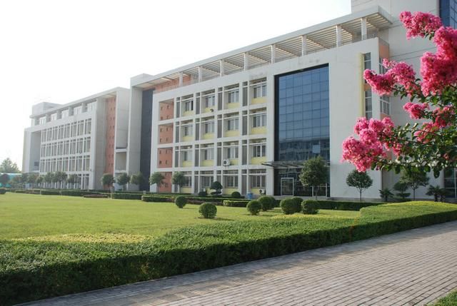 mmexport1603151056529.jpg