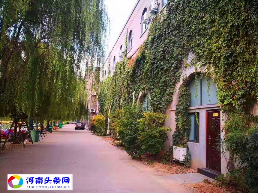 mmexport1607068786115.jpg