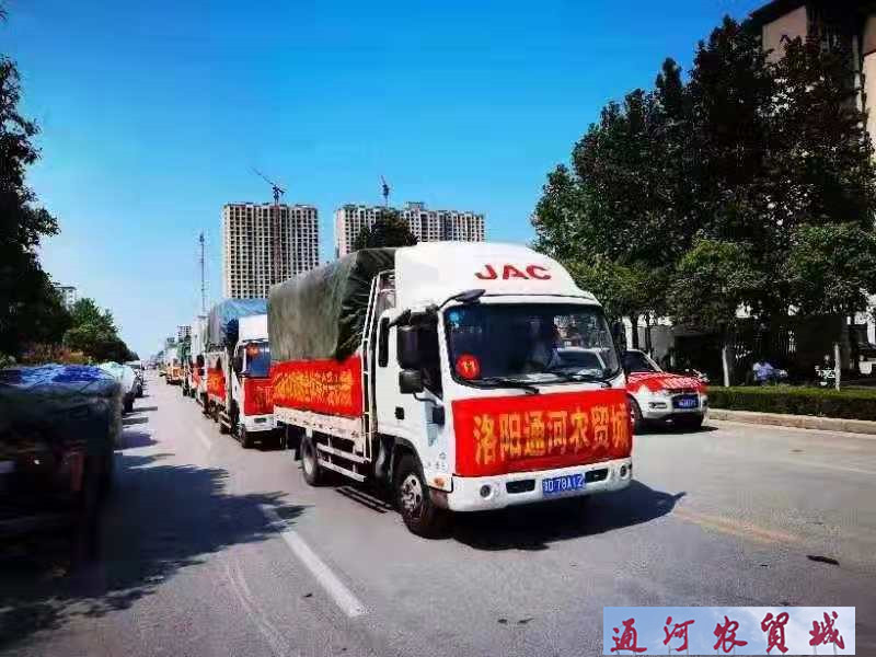 mmexport1627881775980.jpg