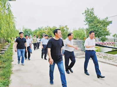 p19_b.jpg