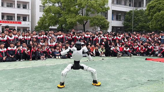 2.gif