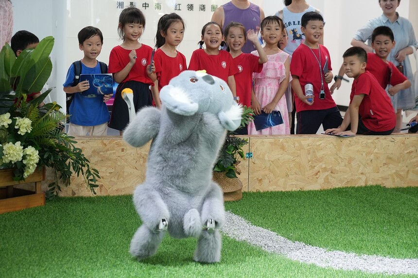 1784100391558193.jpg 微信图片_20260713184057_2689_17.jpg