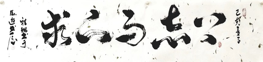 2019513.jpg