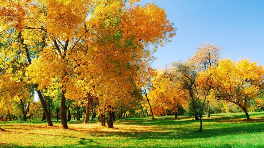 autumn-wallpaper-.jpg
