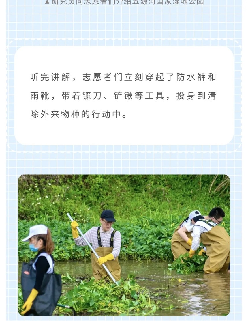 640.webp (10).jpg