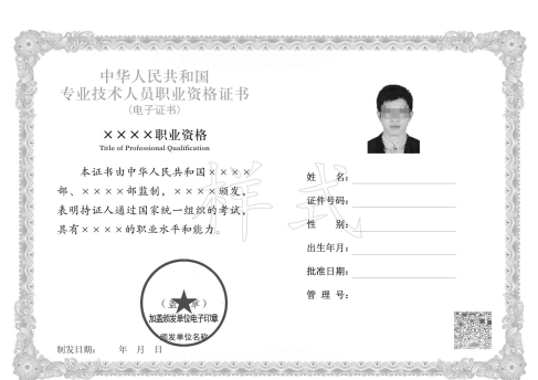 专业技术人员职业资格电子证书样式2.png
