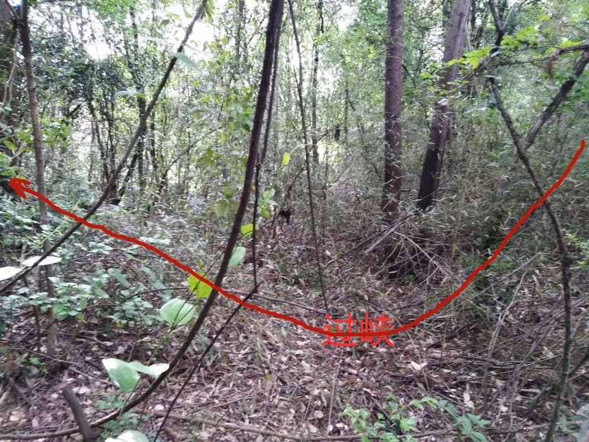 ΢ͼƬ_20190503194847_.jpg