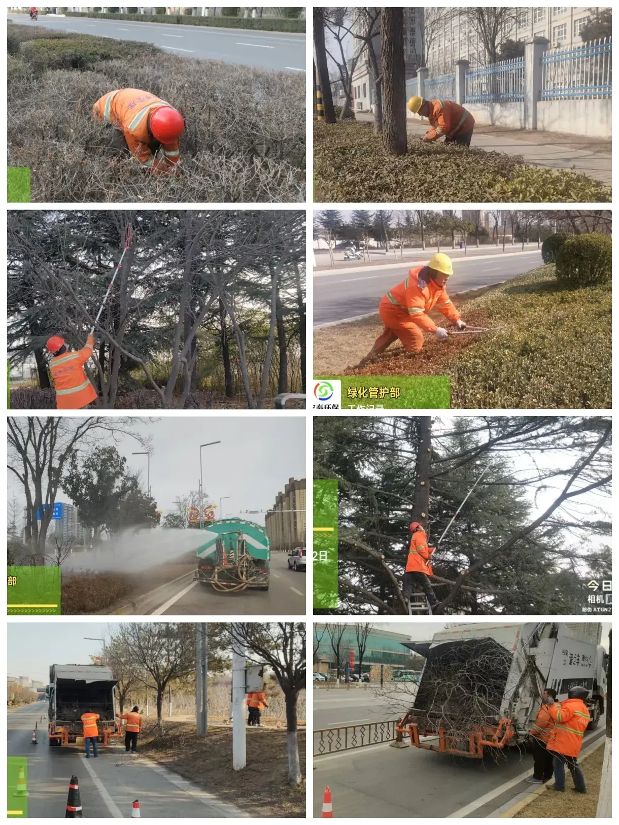 1776131478373460.jpg 514bb1c3fdd246ce98e83179ef9d2dd6__jpg.heic~tplv-flrovnc8r8-s2-cC-q_0_0_0_0_q80.jpg