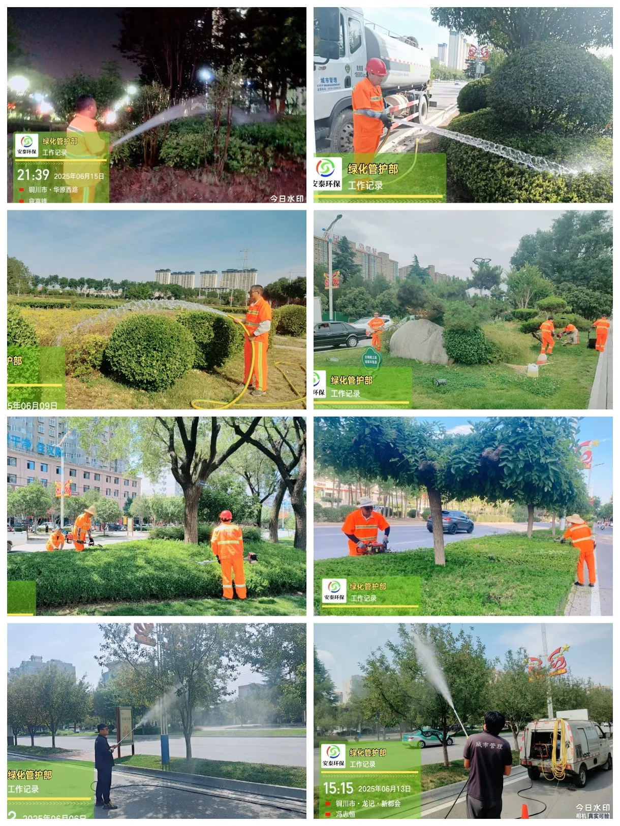 1776219910333132.jpg 6.jpg