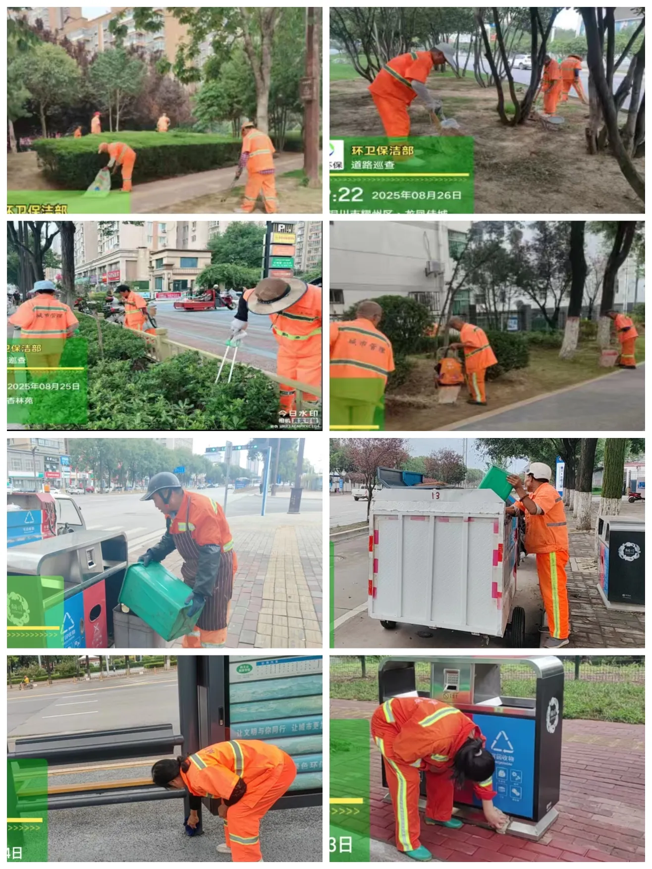 1776246555829233.jpg 3.jpg