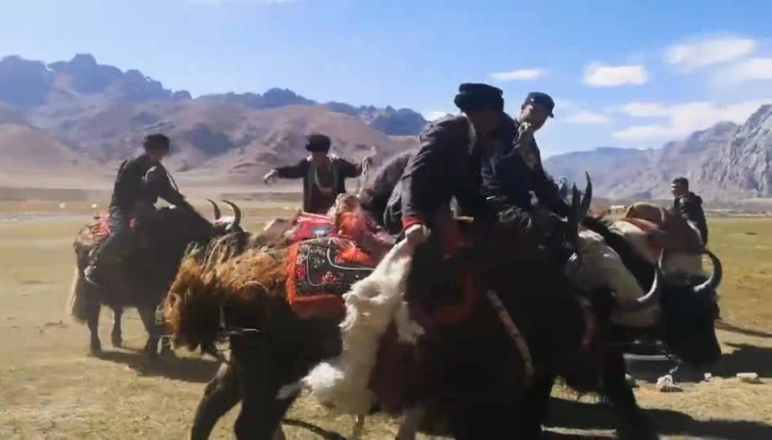 1630221829659409.jpg 16.jpg