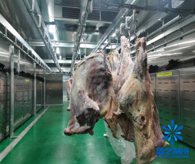 浙江义乌600立方肉类海鲜缓化库(解冻库