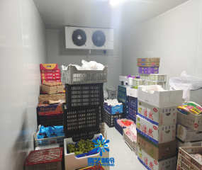 安徽金寨江店小型水果店保鲜冷库案例