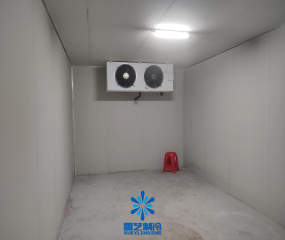 安徽省电商农产品加工小型冷库工程案例