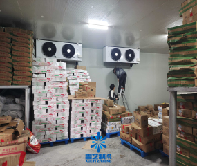 上海500吨-18℃冷冻食品冷库建造案例