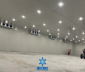 安徽10000立方中药材冷库建造案例