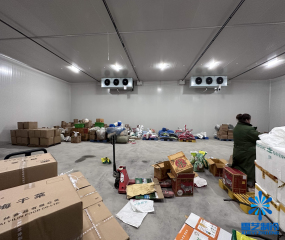 上海青浦粮食局1700平方食品保鲜、冷冻