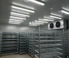 上海浦东新区育苗催芽保鲜冷库工程案例