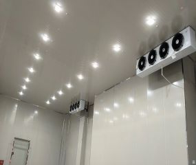 上海奉贤区保鲜冷库,保鲜加工车间冷库案例