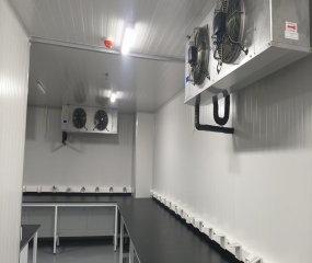 南京金斯瑞冷库安装完工