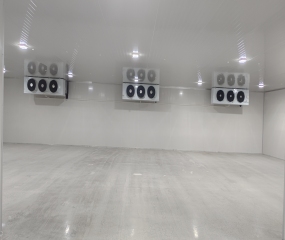 上海果挑友水果冷库案例