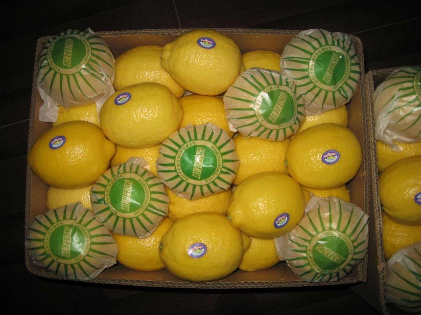 1560140517261119.jpg