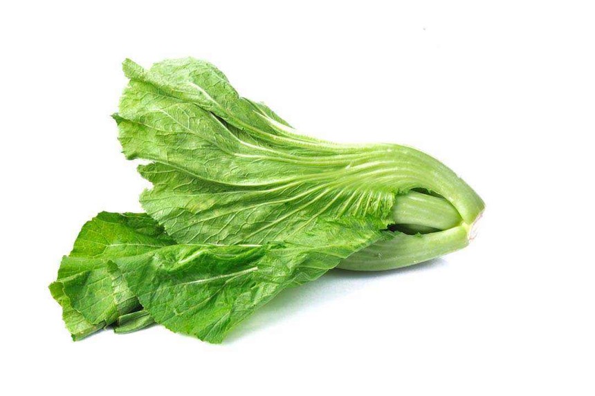 ˱ʷ