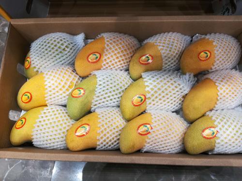 âⴢ汣