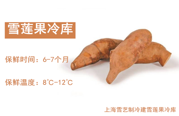 ѩ