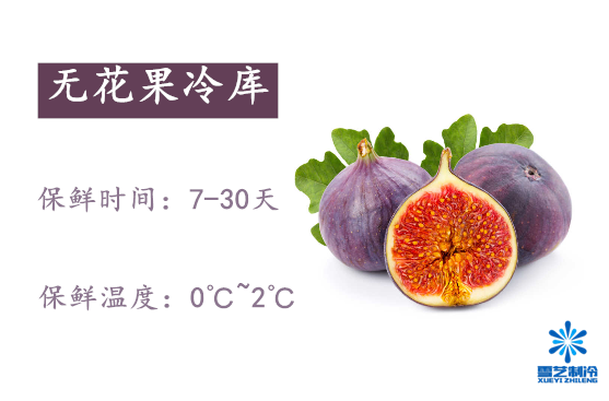 ޻1.png