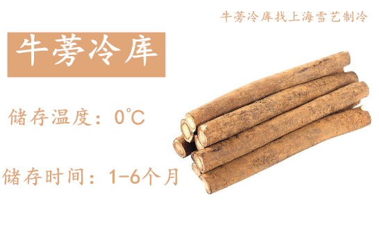 ţ1.png