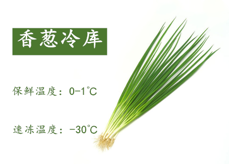 香葱了保鲜冷库.png