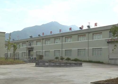 茶叶冷库储存温度