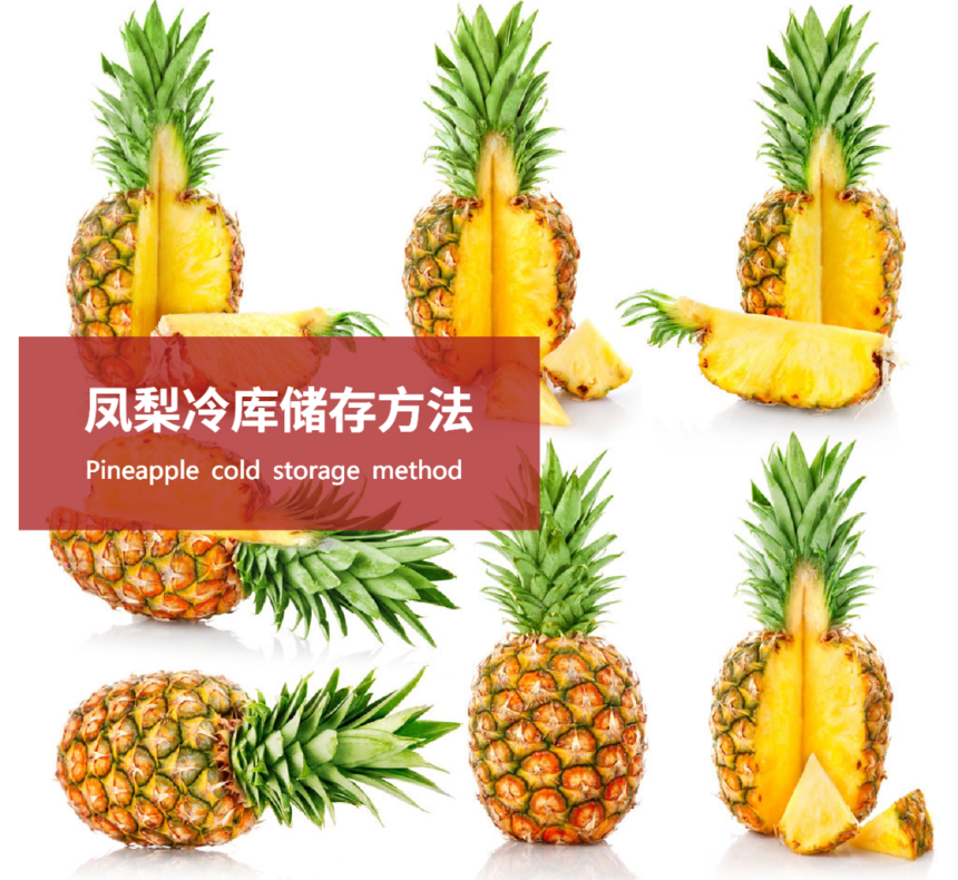 ⴢ淽