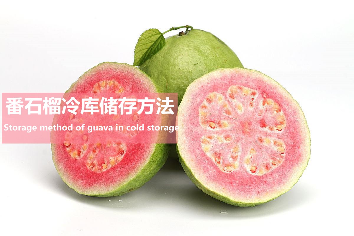 ⣬ˮ⽨Ϻѩ