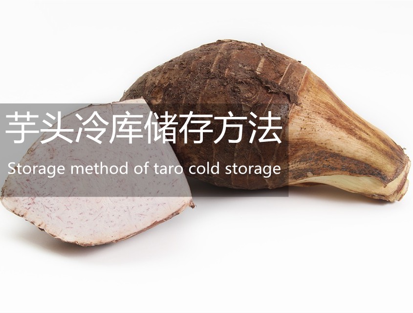 ͷⴢ淽