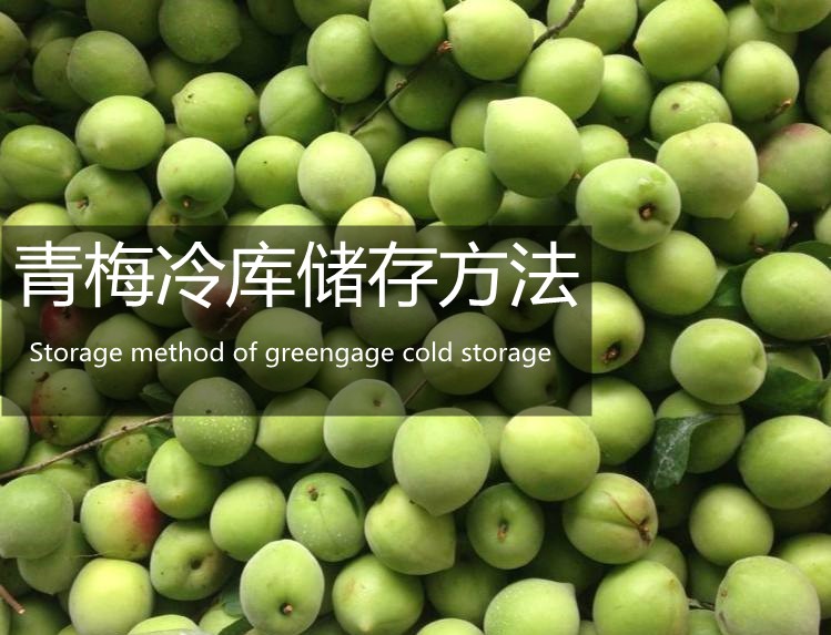 ÷ⴢ淽