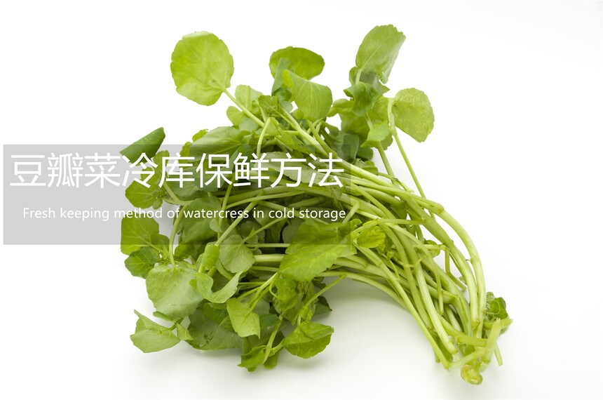 ⴢ淽
