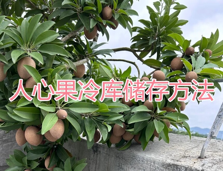 Ĺ
