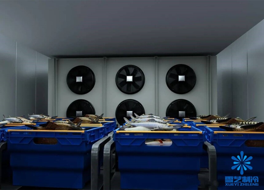 ˮ
