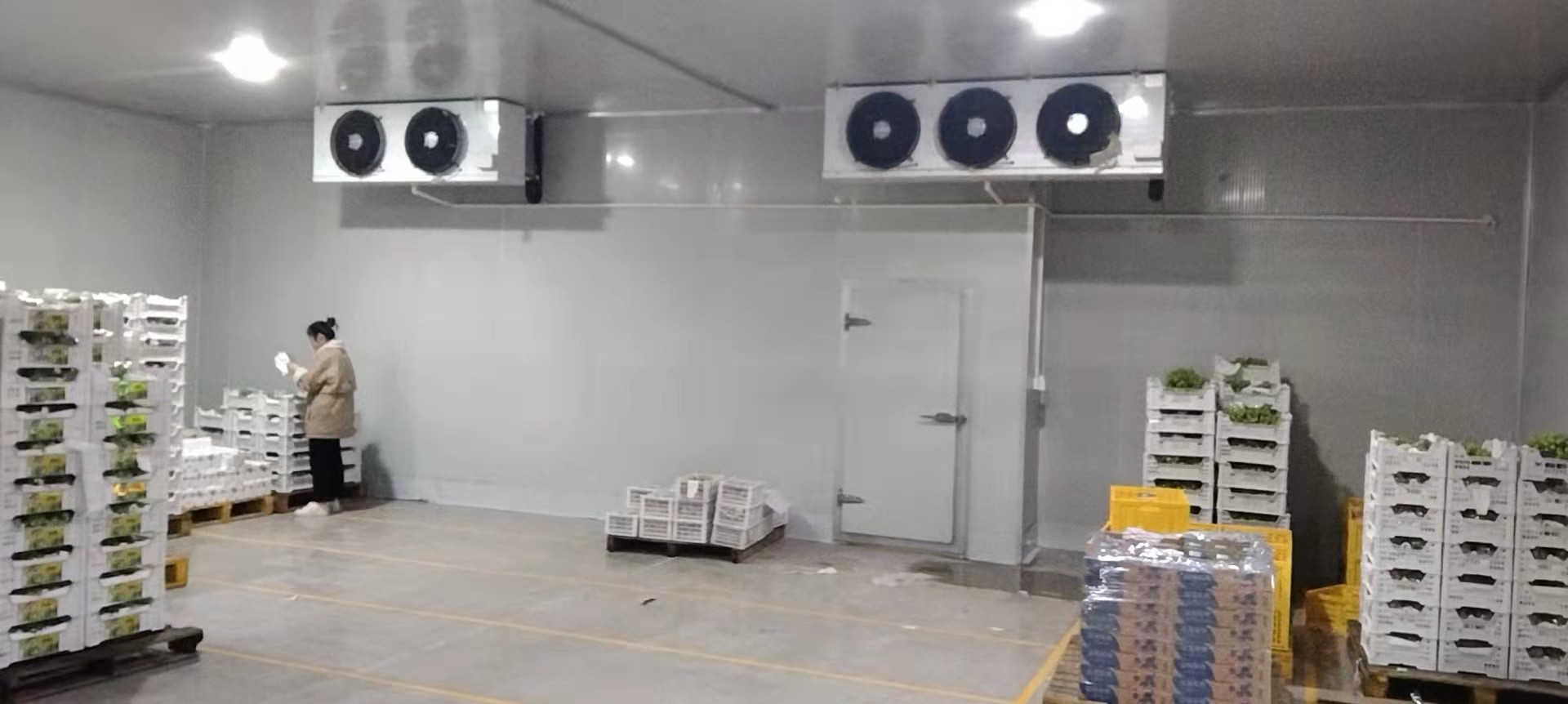 1720507212960243.jpg