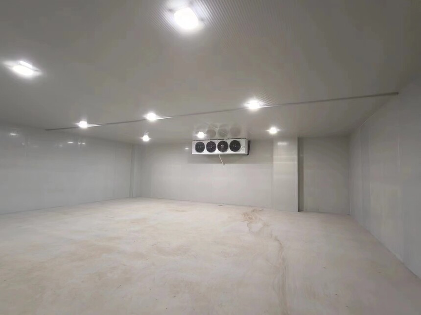 1768271926625878.jpg 1768271926625878.jpg