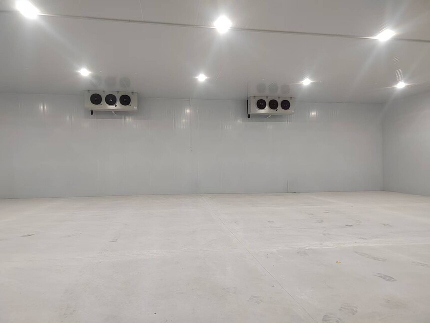 1772245876544375.jpg 1772245876544375.jpg